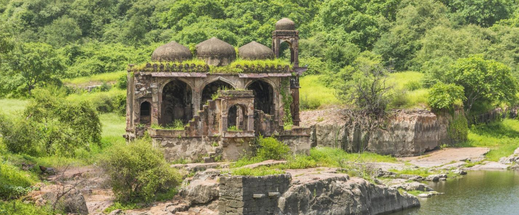 Ranthambore