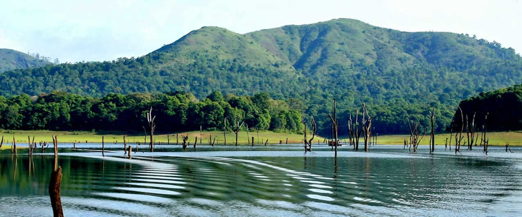 Thekkady.jpg3